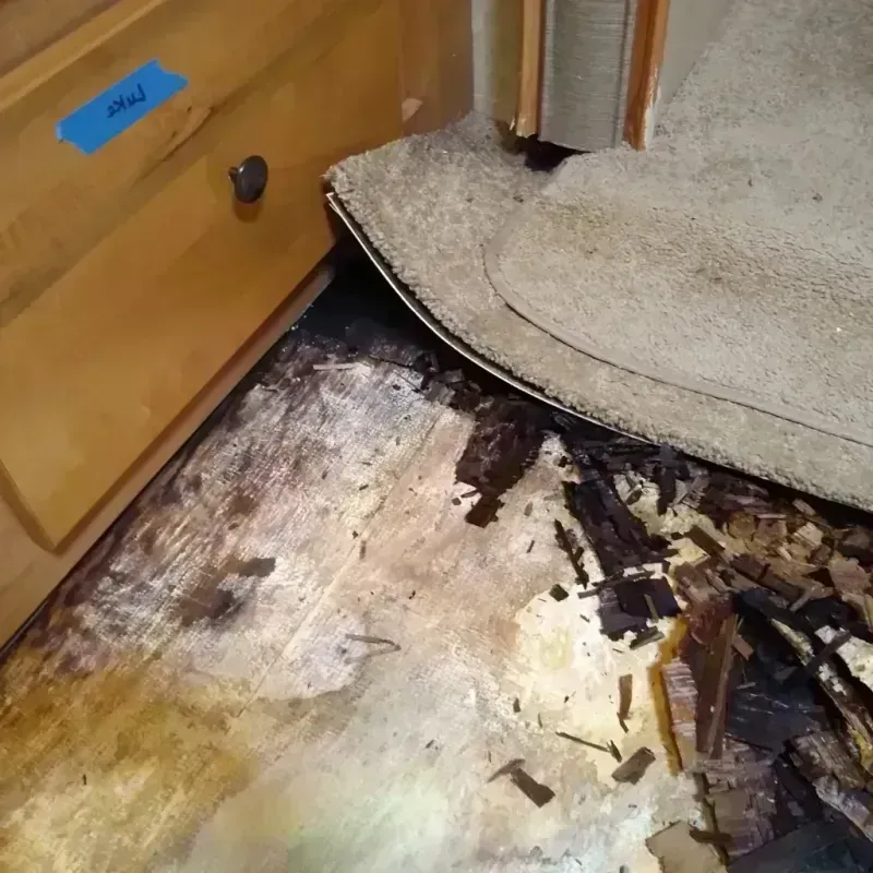 Wood Floor Water Damage in Sierra Vista Southeast, AZ